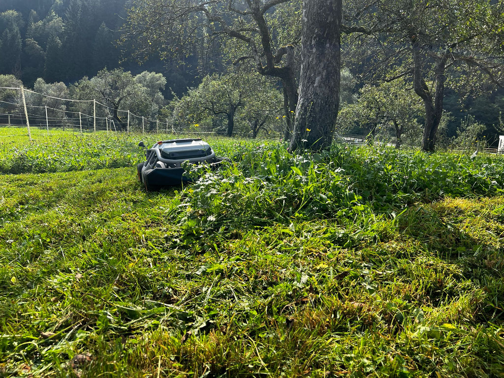 Mowrator S1 – 4WD